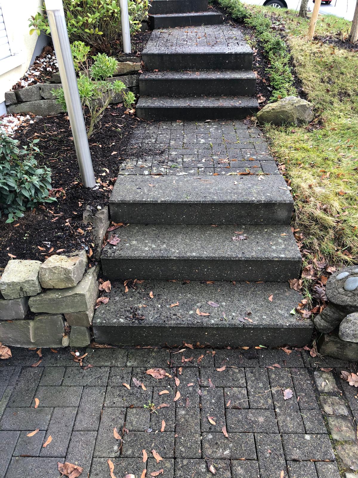 Gartenweg vor Reinigung — verschmutzte Pflastersteine